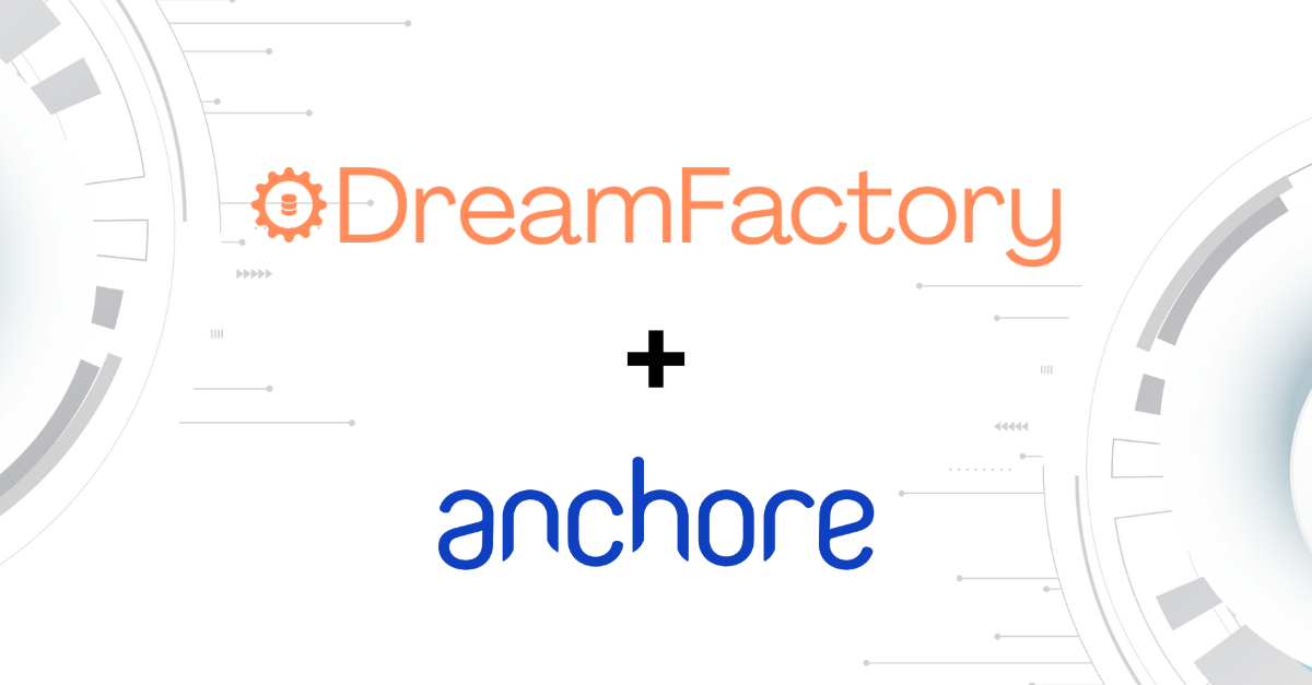 DreamFactory and Anchore partner to meet highest security requirements of DoD and critical national infrastructure.