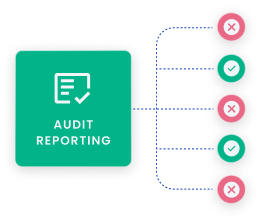 Streamlined audit reporting