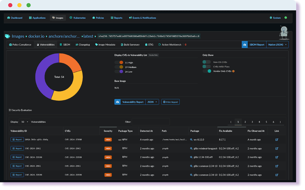 Continuous Vulnerability Monitoring with Anchore Enterprise